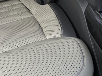 2025 Ford F-150 Lightning Platinum