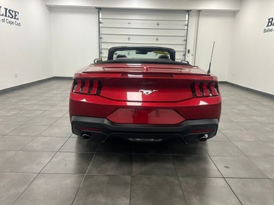 2024 Ford Mustang EcoBoost Premium