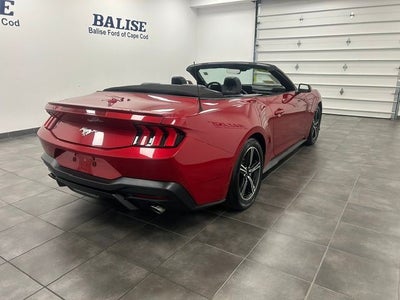 2024 Ford Mustang EcoBoost Premium