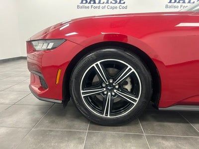2024 Ford Mustang EcoBoost Premium