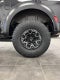 2024 Ford F-150 Raptor "R"