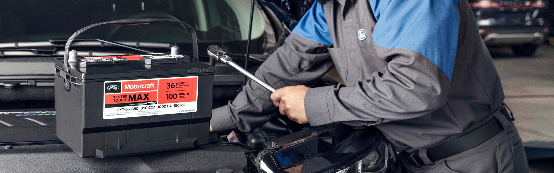 Battery Replacement Program